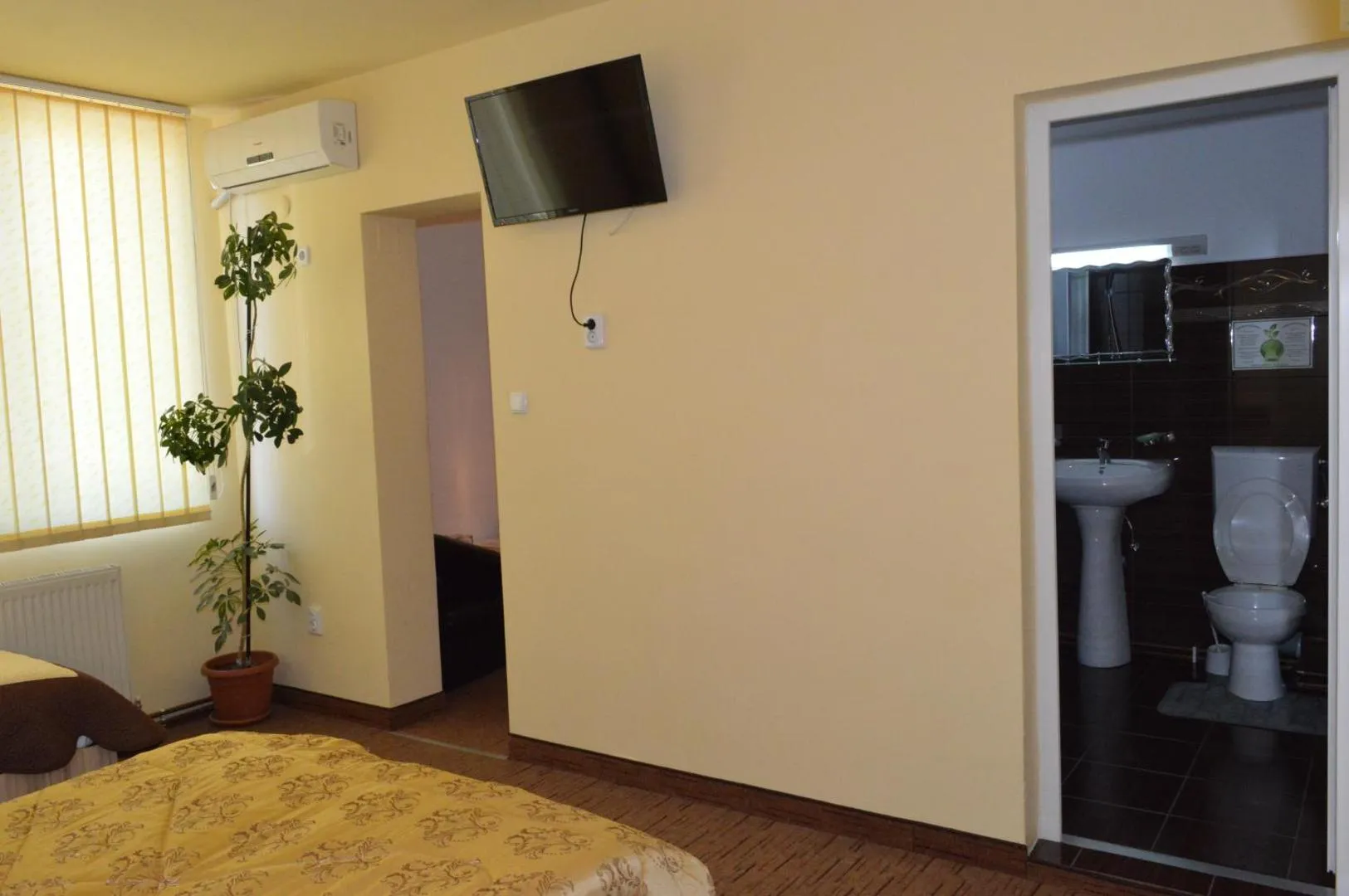 Camera cu televizor si intrare in baie